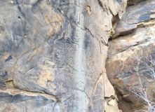 Дагестан, Дагестан глазами натуралиста