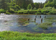 Подмосковье, Поход на выходные на байдарках по реке Тьма с баней на берегу