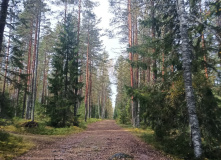 Карельский перешеек, В поисках исчезнувшей Леовиллы с детьми