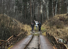 Подмосковье, English club в Мещере с ночевкой в приюте
