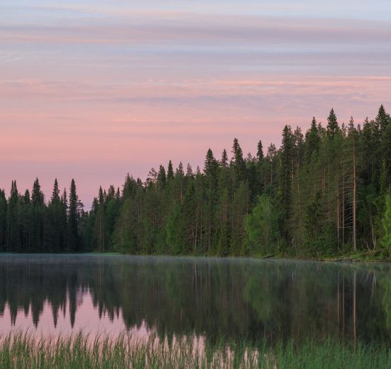 Северная Карелия: Кенто — Куйто, пороги и пляжи