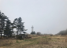 Дальний Восток, Здравствуйте, я ваша Тятя: поход по острову Кунашир + Сахалин