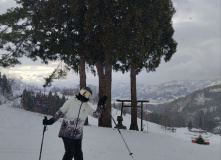 Япония, Японские Альпы. Горнолыжный + культурный тур (разведка)