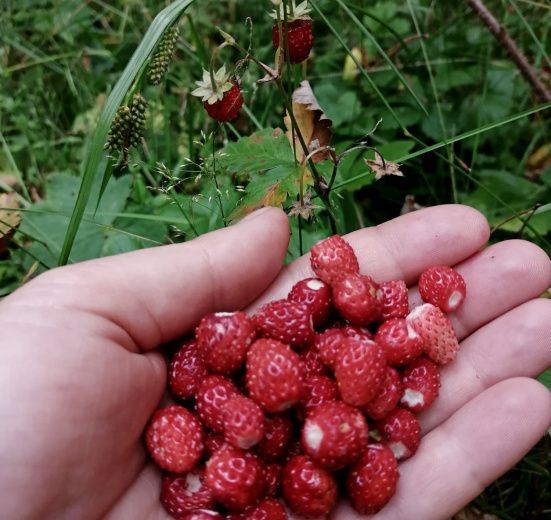 Северная Осетия (Алания), Семь чудес Северной Осетии