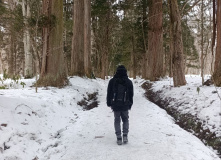 Япония, Японские Альпы. Горнолыжный + культурный тур (разведка)