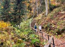 Кавказ, Семейный лагерь в Красной поляне