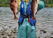 Камчатка, Камчатский вояж Лайт: шум океана и шёпот вулканов (комфорт-тур)