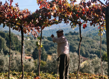 Испания, Пешком из Португалии в Испанию: Камино де Сантьяго