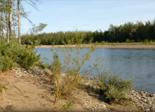 Дальний Восток, Дикая тайга Магадана: сплав по рекам Хета, Малтан, Бахапча, Колыма на байдарках