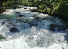 Кавказ, Голубоглазая Теберда. Путешествие для родителей и детей