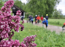 Северо-Запад, Сиреневый маршрут: велотур в Пушкинские горы
