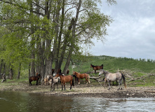 Урал, Байдарки на Урале : майский сплав по реке Сакмара