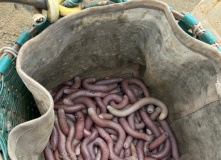 Китай, Живописная палитра Китая: из глубинки провинции к золотым пляжам (разведка)