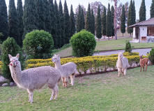 Центральная и Южная Америка, От вулканов до океана. Большой тур по Эквадору и Галапагосам