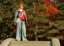 Япония, К пальмам и горячим пескам (разведка)