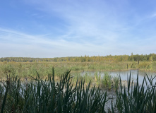Подмосковье, К НЛО через Голубое озеро