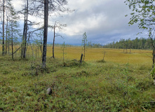 Карелия, У самого Полярного Круга: в нацпарк Паанаярви с детьми