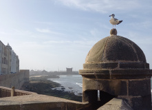 Марокко, Все цвета королевства контрастов