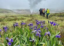 Камчатка, Камчатский вояж Лайт: шум океана и шёпот вулканов (комфорт-тур)