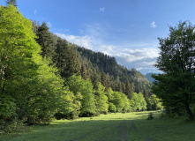 Грузия, Поход по нацпарку Боржоми с проживанием в отелях