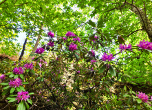 Турция, Фракийская тропа Турции: трекинговый маршрут с машиной сопровождения (разведка)