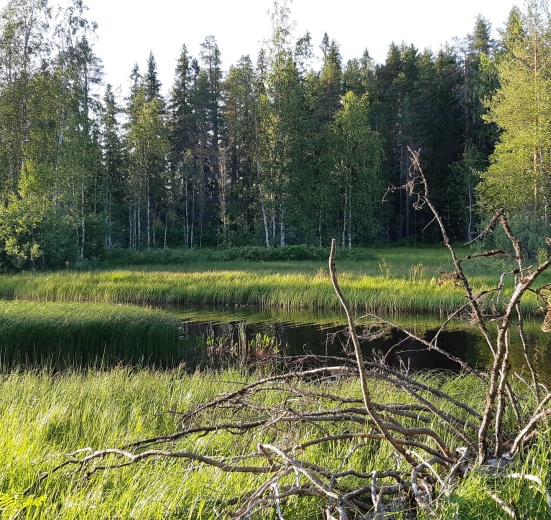 протоки реки Суны