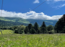 Кавказ, Семейный лагерь в Красной поляне