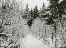 Подмосковье, Однодневный поход «English club в усадьбе Середниково»