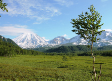 Камчатка, Камчатские каникулы: семейный поход в долину Налычево