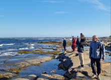 Карелия, Калга (Карелия): сплав на байдарках с выходом в Белое море