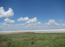 Юг России, Соль земли.