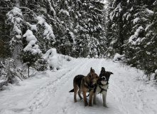 Северо-Запад, Таинственный Выборг: путешествие к гротам.
