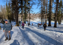 Подмосковье, Однодневный поход Английский клуб в усадьбе Середниково