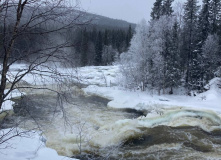 Карелия, По следам на снегу: Северная Карелия на снегоходах и лыжах с детьми