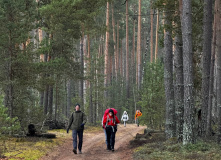 Подмосковье, English club в Мещере с ночевкой в приюте
