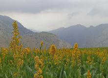 Узбекистан, Лето, весна, зима и снова лето: пеший поход по весенним горам Западного Тянь-Шаня