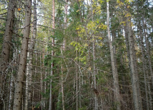 Северо-Запад, Красоты озера Хепоярви