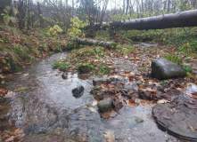 Подмосковье, Пеший поход «отМорозки»