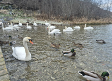 Северо-Запад, Изборско-Мальская долина (разведка)