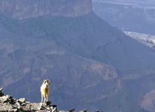 Оман, Горный Оман – путь к оазису