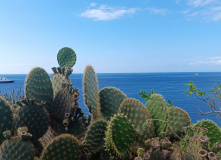 Центральная и Южная Америка, От вулканов до океана. Большой тур по Эквадору и Галапагосам