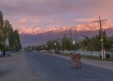 Фотографии 2018 года