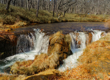 Япония, Осень у подножия Фудзиямы