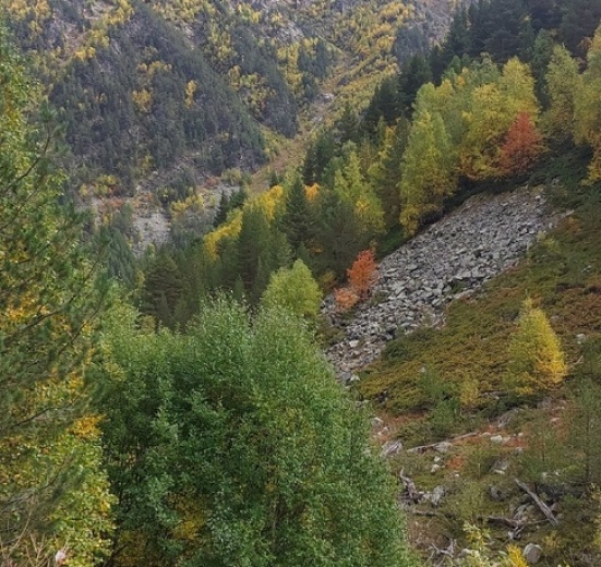 Гвандра. Горные треккинги для взрослых и детей (в палатках)