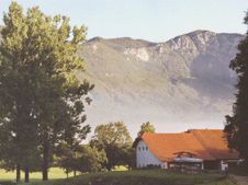 Восхитительная Словения. Виноградники и пещеры