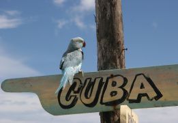 Куба: Незабываемое Путешествие