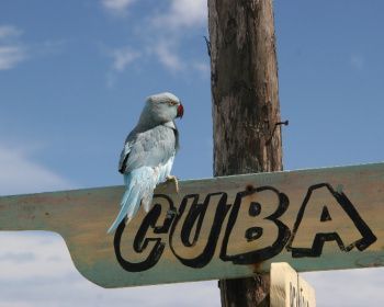 Куба: незабываемое путешествие