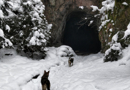 Таинственный Выборг: путешествие к гротам.