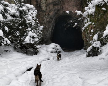 Таинственный Выборг: путешествие к гротам.