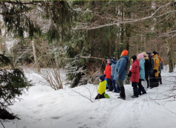 Тропа Вятичей